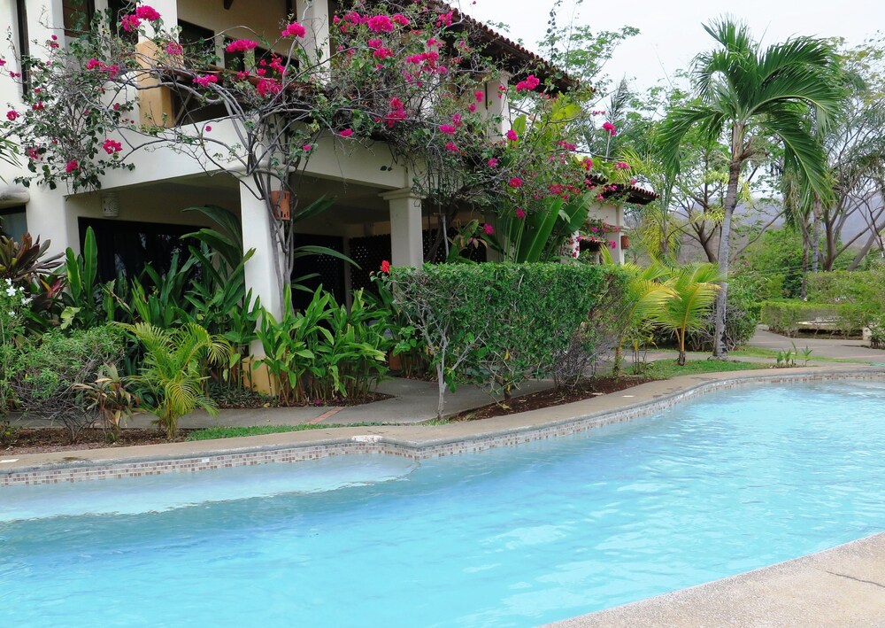 Tropical Gardens