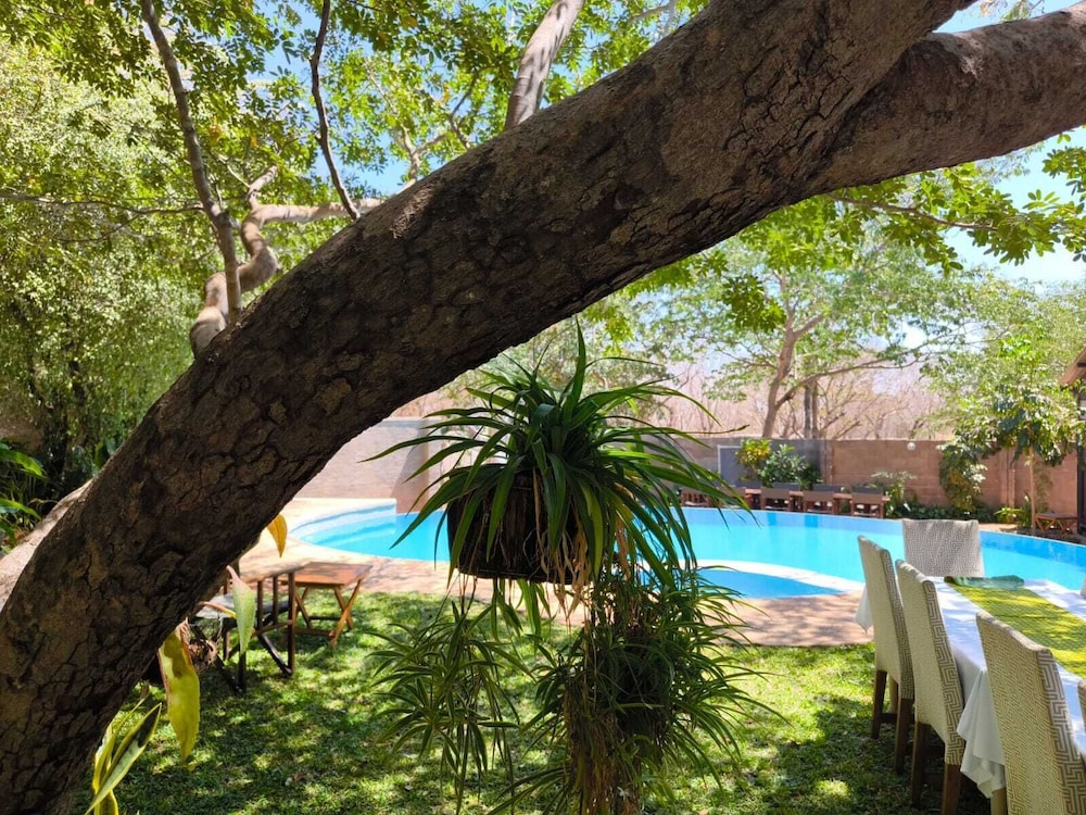 Room in Lodge - Luxury Suite 1 in Boutique Lodge With Free Savannah Adventures 4x4 City Tour