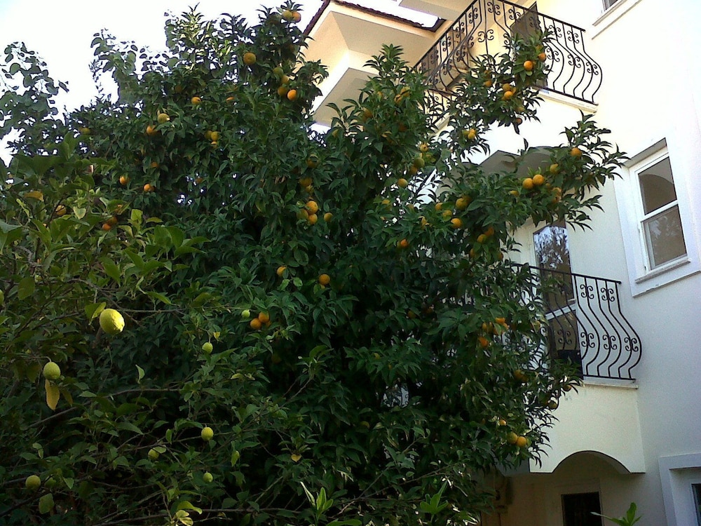 Ant Apart Otel - Image 46