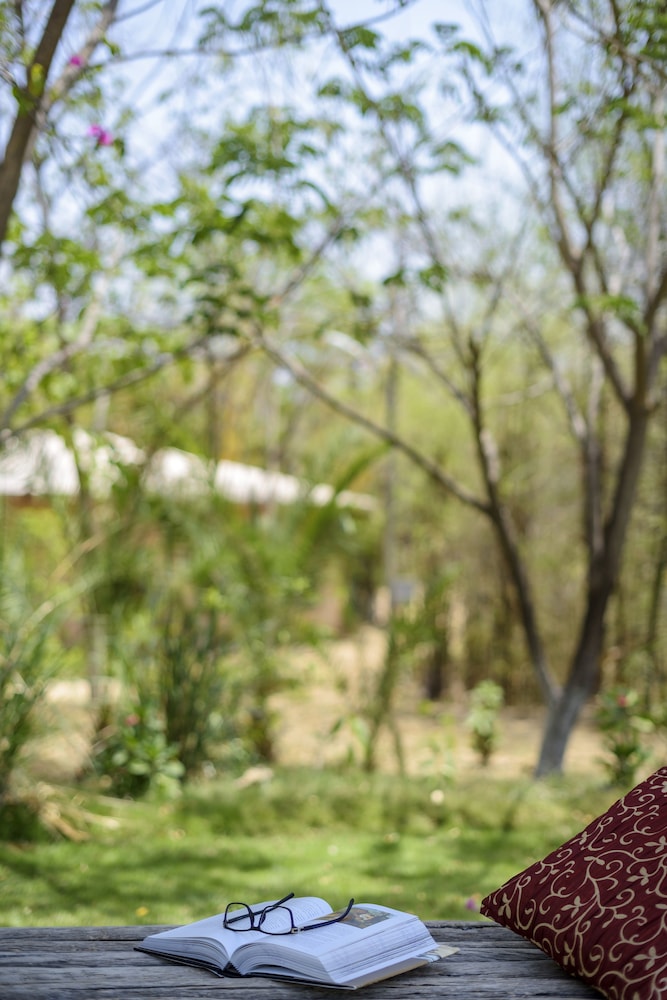 The Riverwood Forest Retreat - Pench view 5