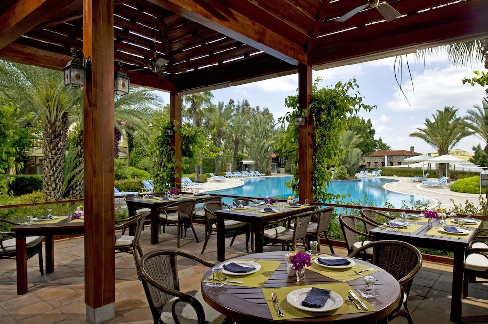 Divan Bodrum - Özel Sınıf - Image 101