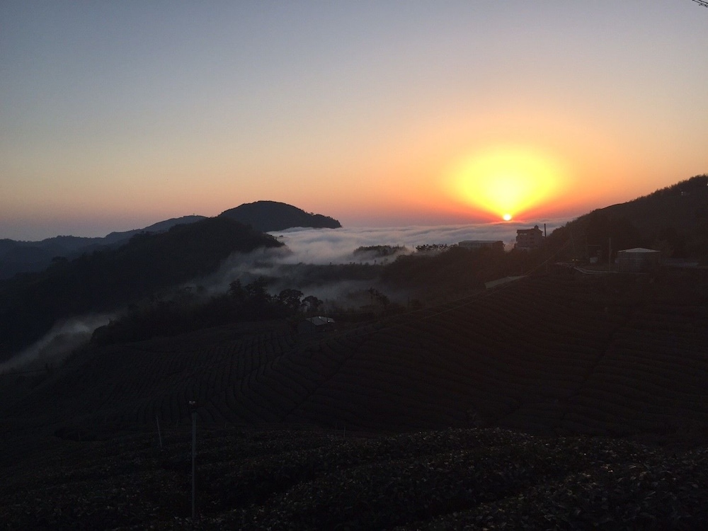 Tea Cloud Guest House