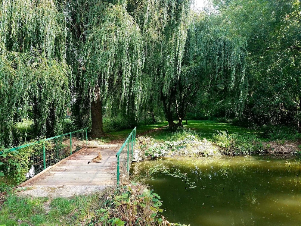 Photo 40