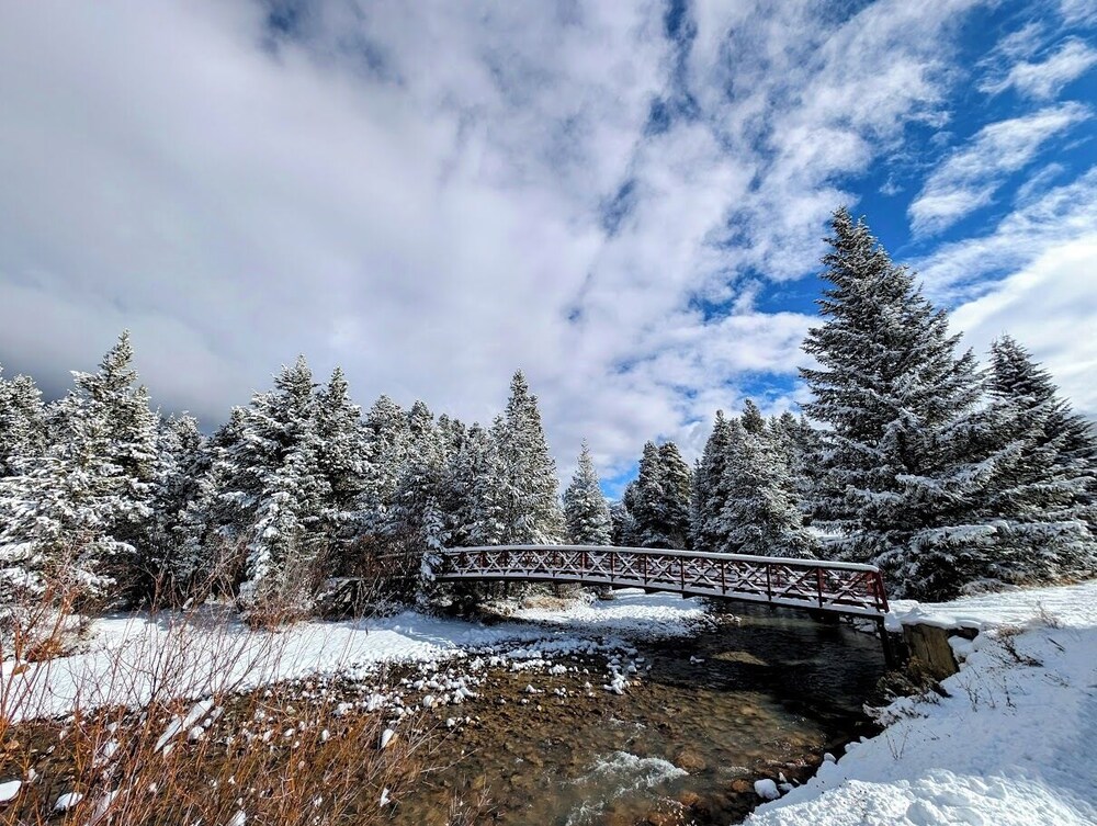 Cinnamon Ridge C114