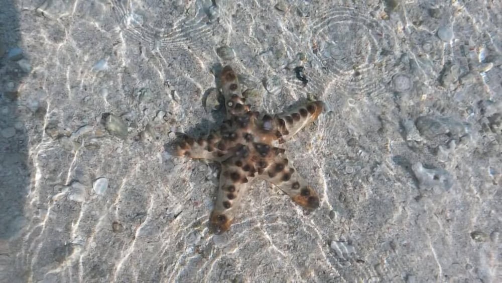 other