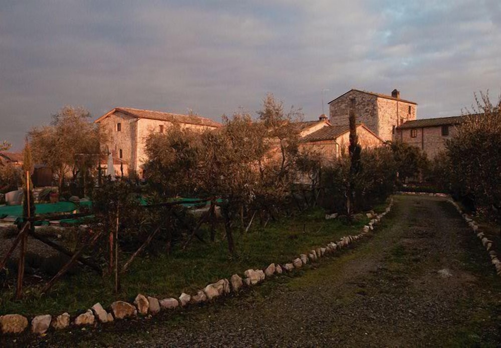 Photo 6