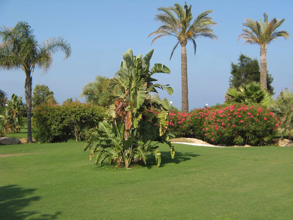 VenAVera C10A - Ground floor Garden 3Bedrooms/2Baths Beachfront, WIFI