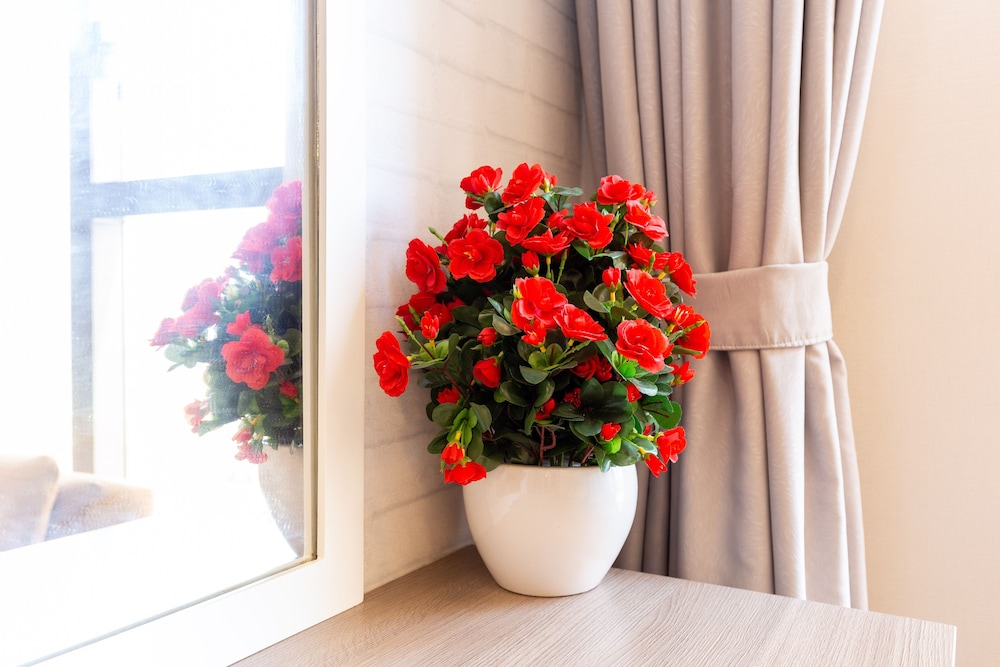 Rose Home