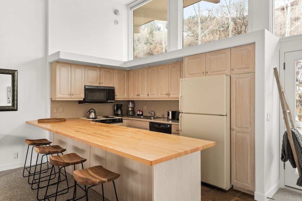 Aspen Snowmass Alps Apartments