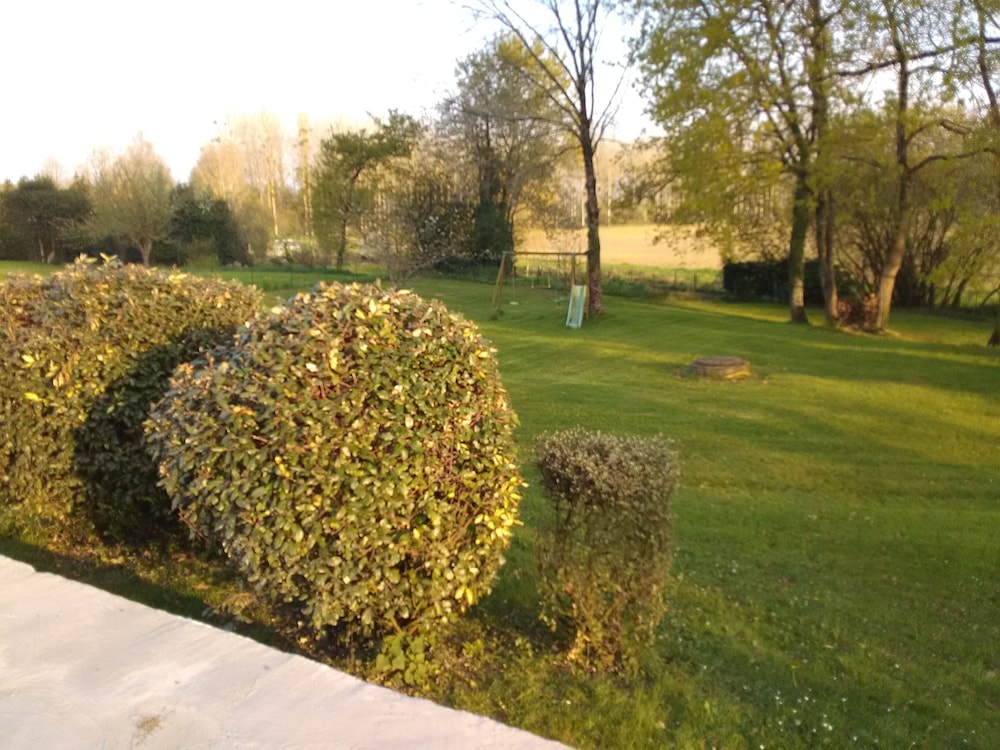 Photo 18