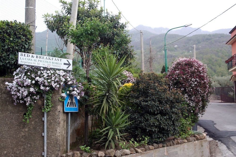 Photo 45