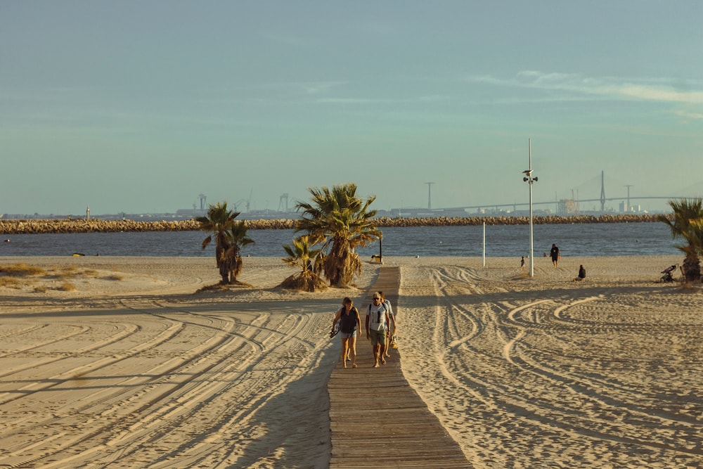 TAIGA Puerto Santa Maria