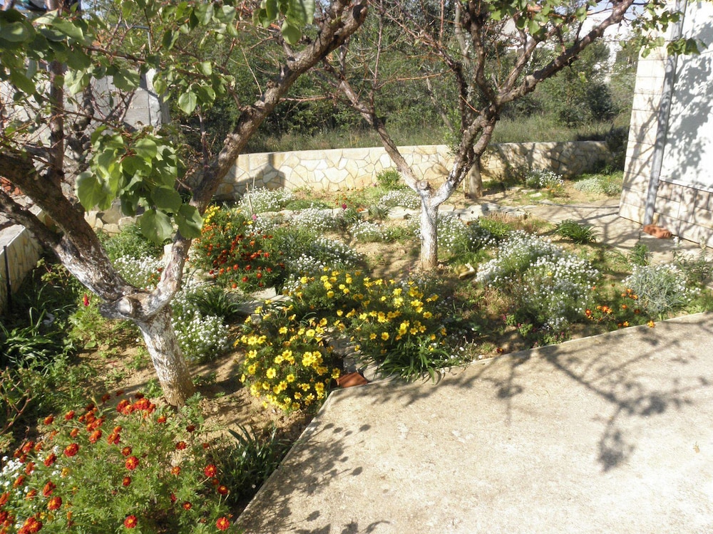 Brane - 180m to the sea - A1 view 2