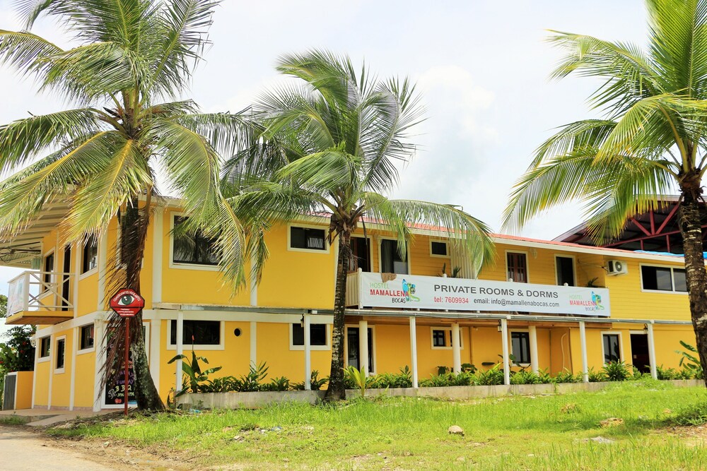 Hostel Mamallena Bocas del Toro - Adults Only - Property Image 3