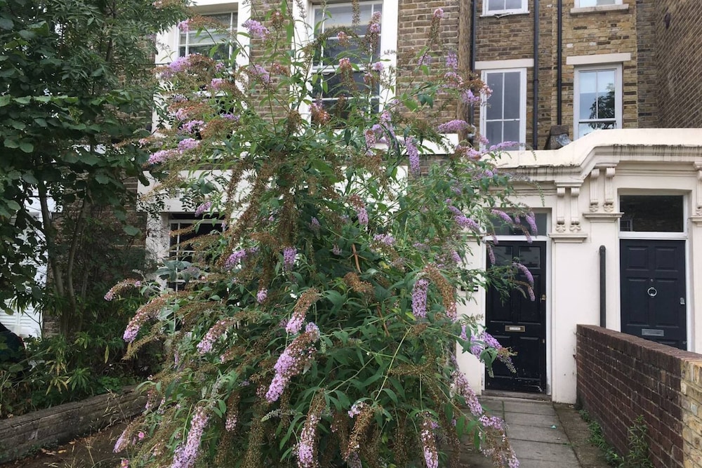 Stylish 1 Bedroom Apartment in Vibrant London Fields