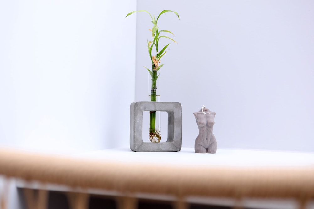 My Mediterranean Villa in Corfu photo 5