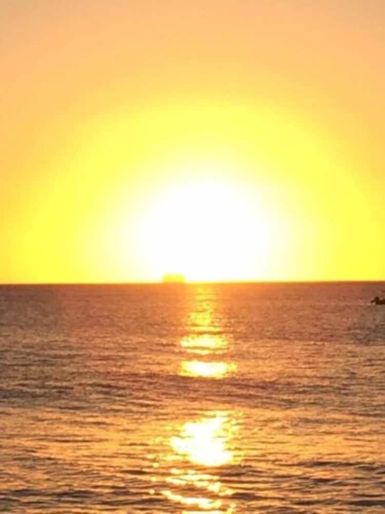 Sunset Oasis