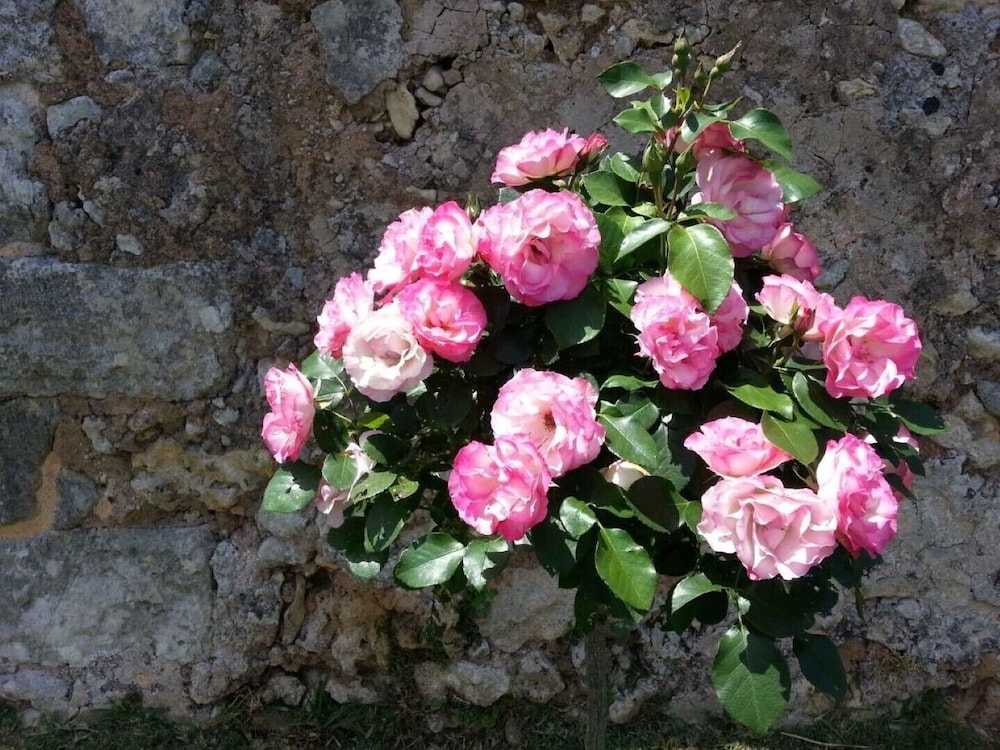 Masseria Costarella