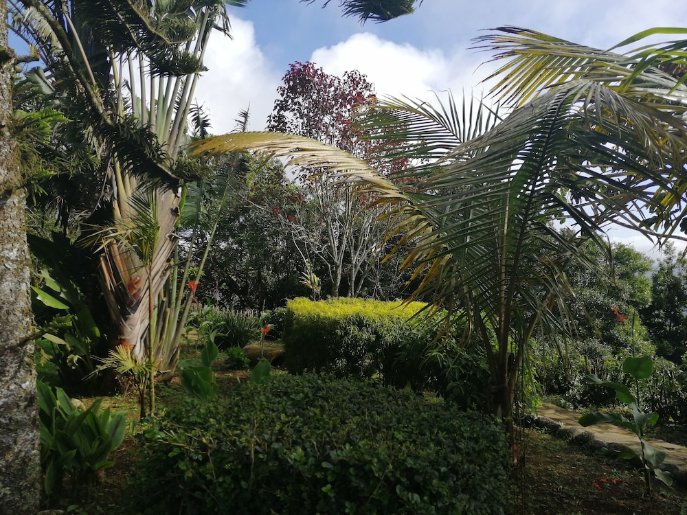 Vista Valverde Pacific View Rentals