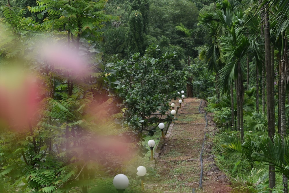 Riverstone Nature Resort