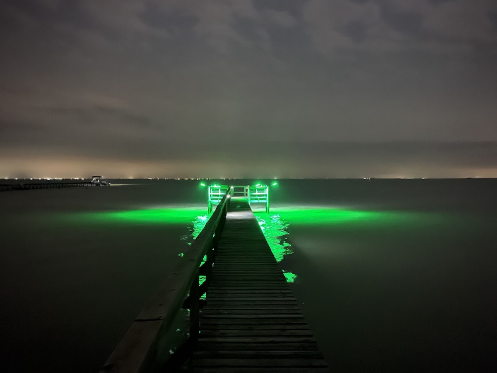 Photo 53