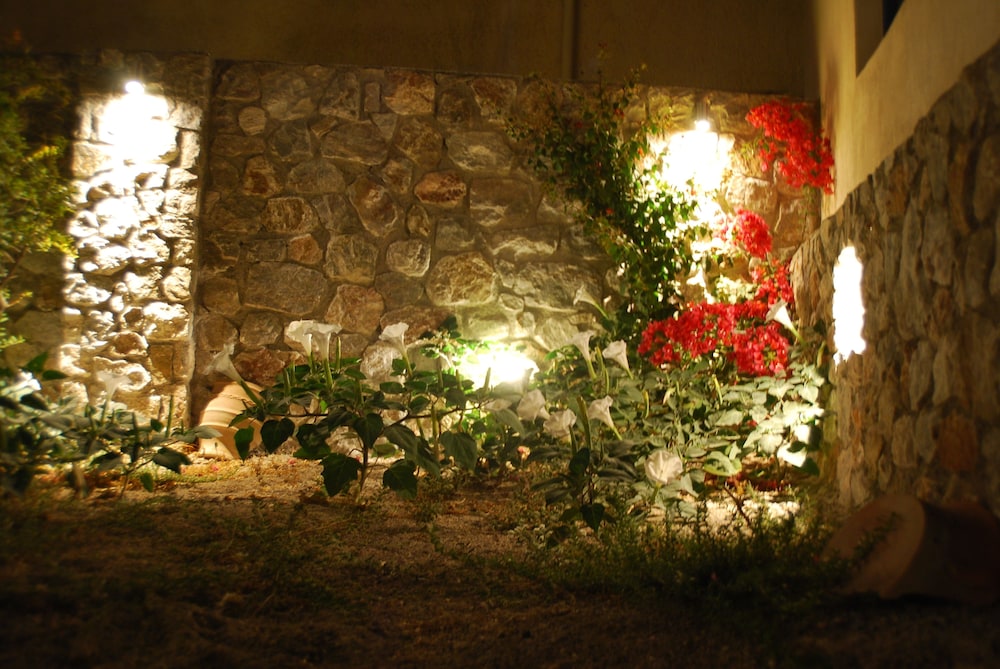 Photo 51