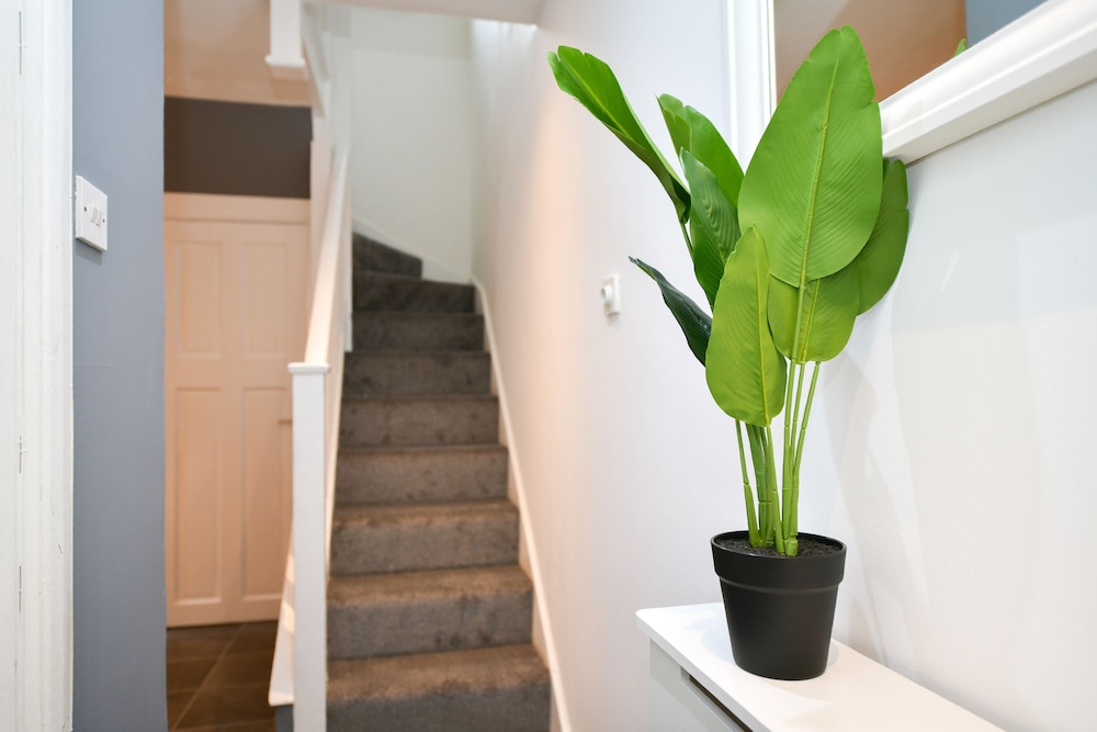 Impeccable 4-bed House With Garden in Brixton