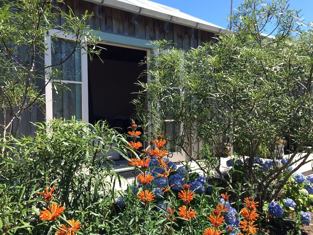 Mangawhai Chalets