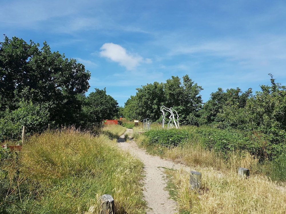 Photo 30
