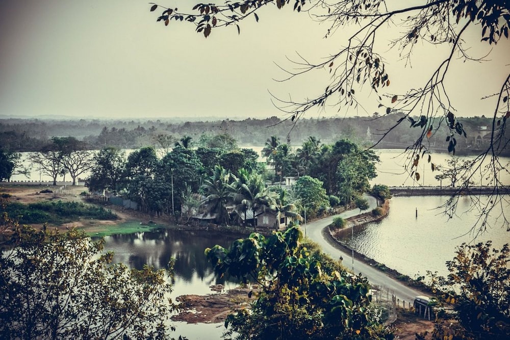 Namasthe Ayurveda and Yoga Retreat