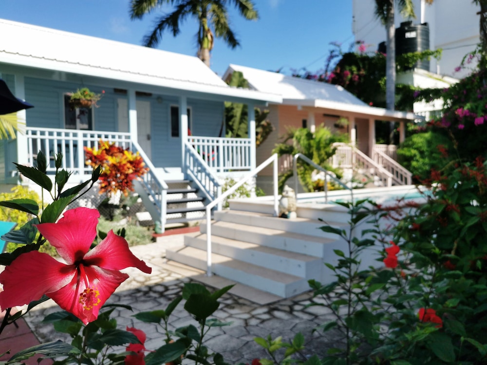 Belize Vacations - Harbour View Boutique Hotel  Wellness Retreat - Property Image 7