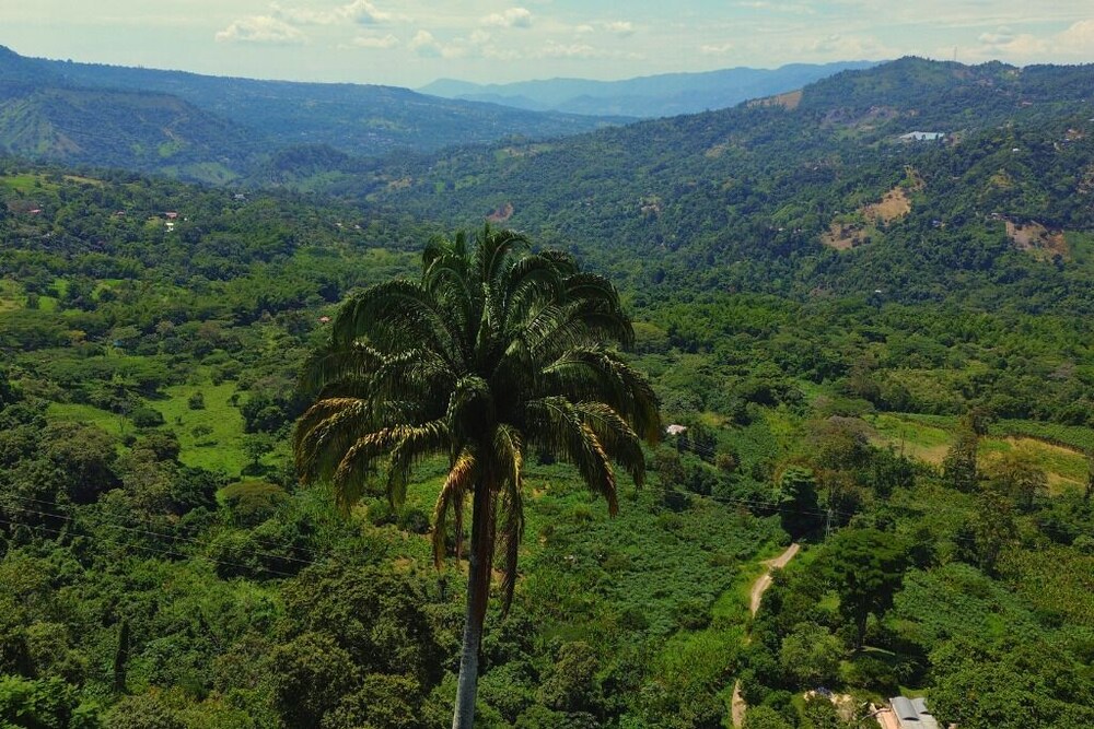 finca la Roca