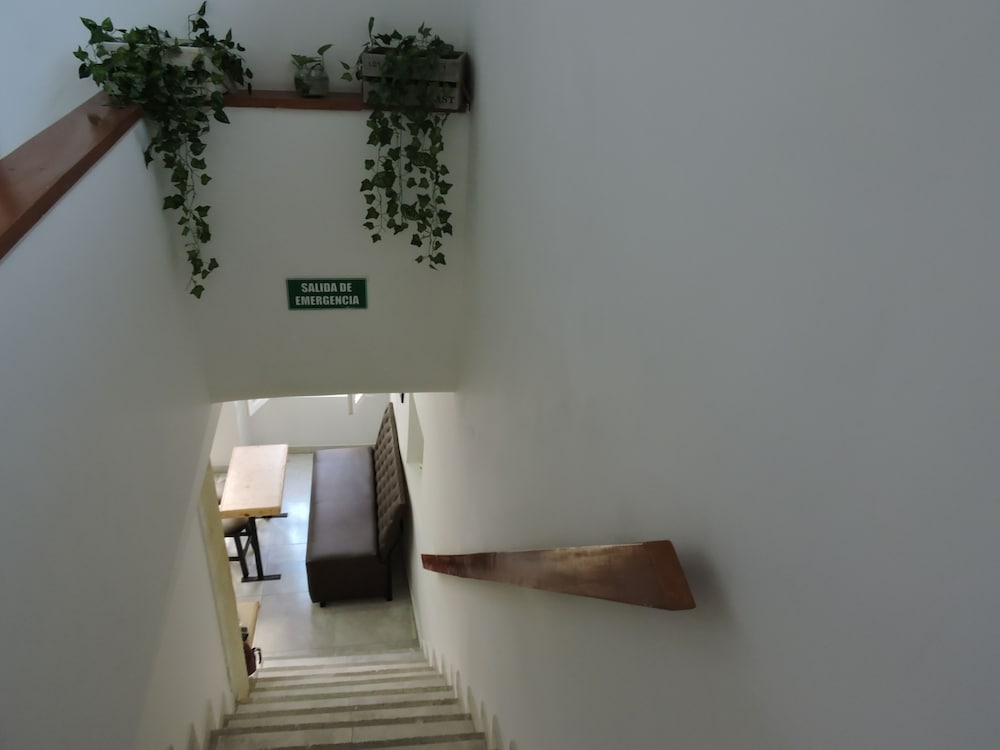 Photo 27