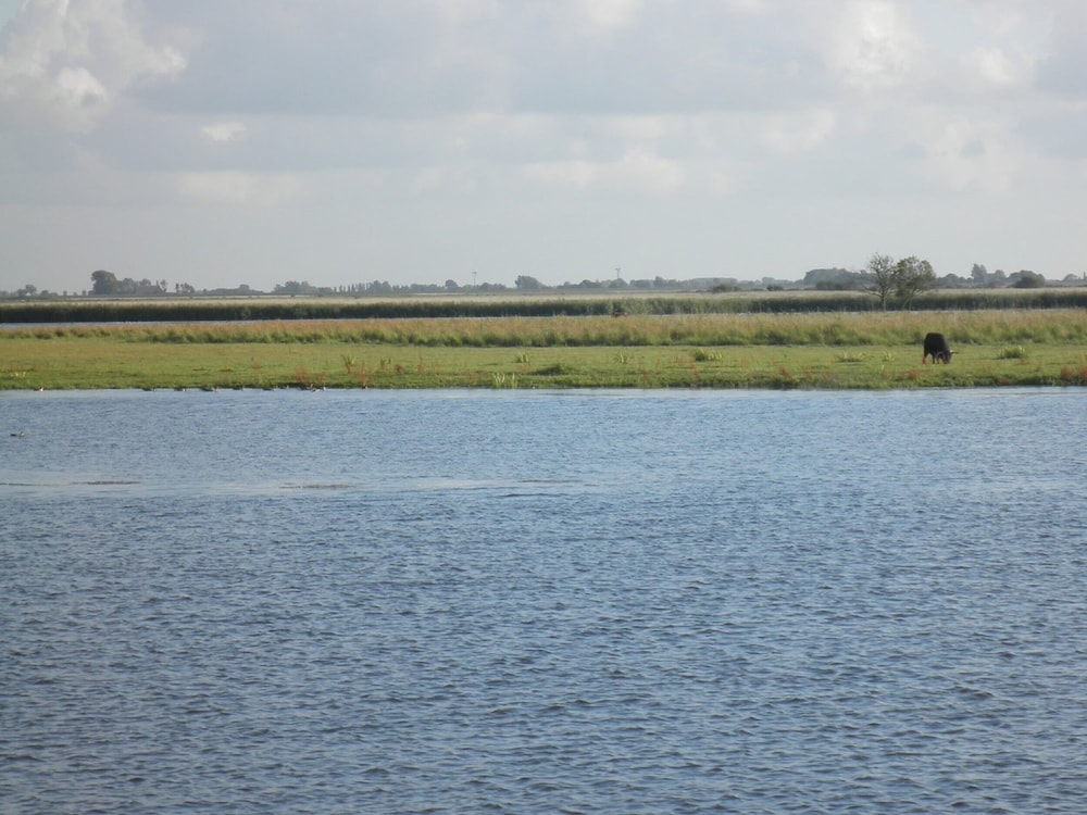 6 Pers - Chalet Emma Located at the Lauwersmeer With own Fishing Pier