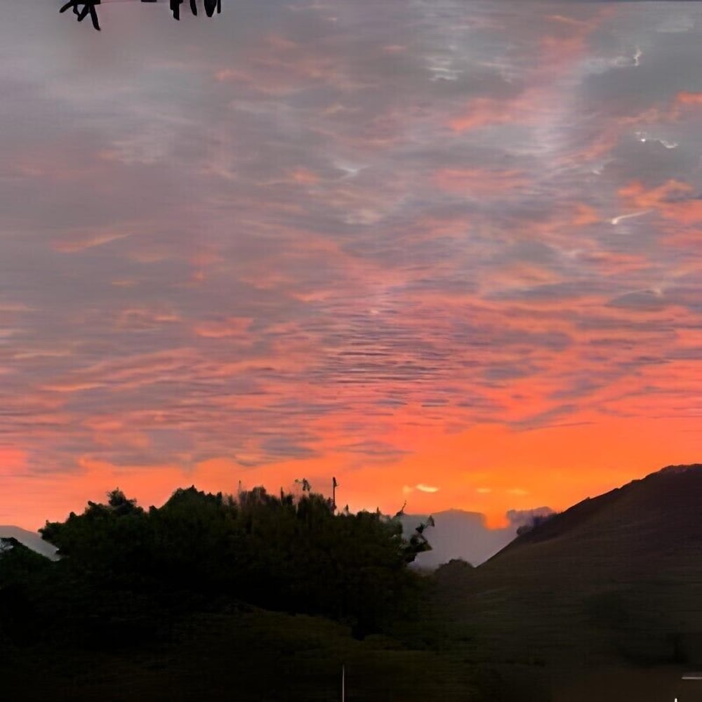 Nambi Monteverde