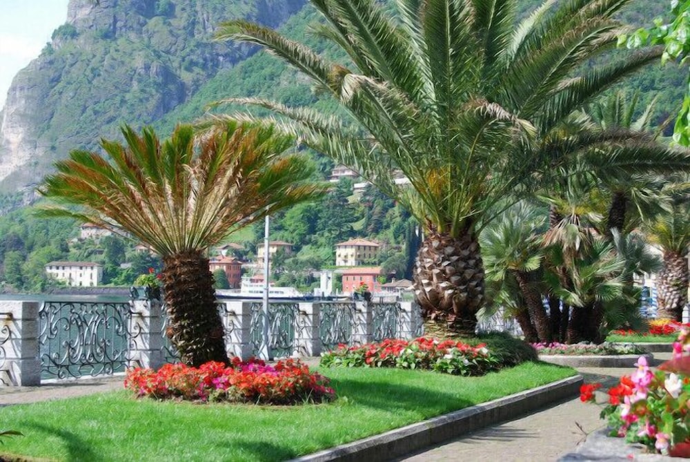 Belmonte Vista