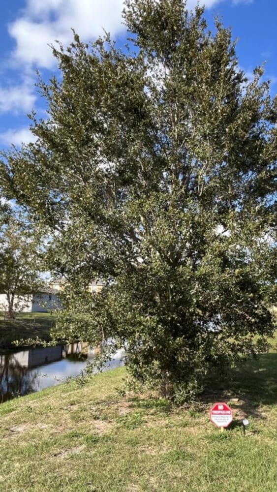 Brand New Spacious 3 Bedroom Home