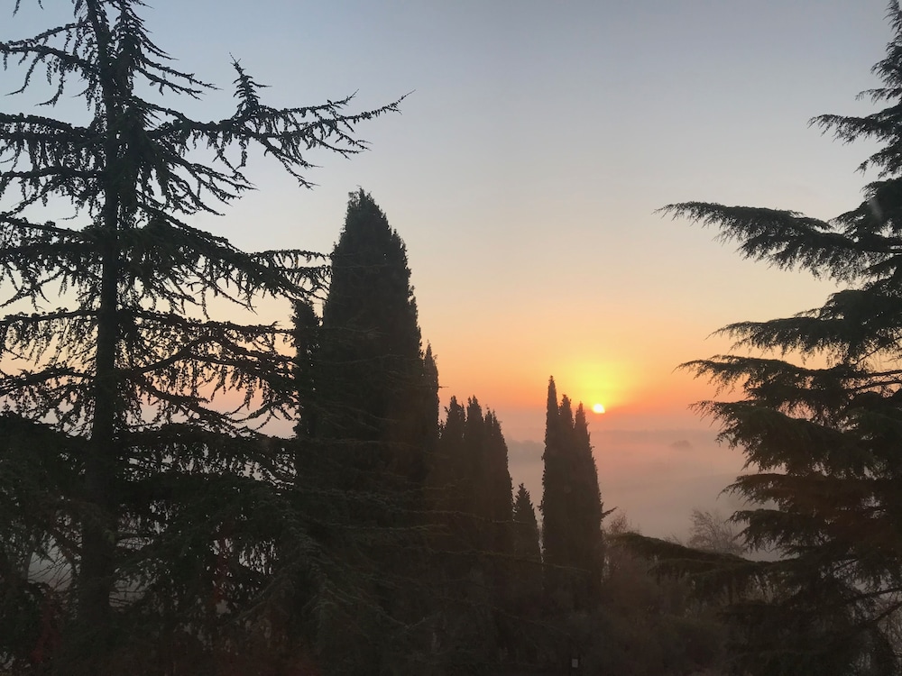 Macciangrosso