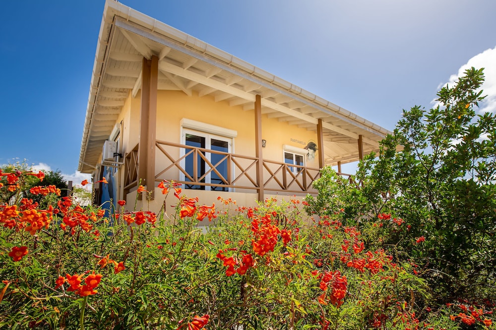 Ananda Curacao