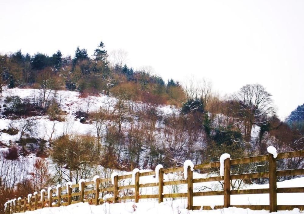 Cottage Sleeps3-fireplace-balcony-garden-mountain view 4
