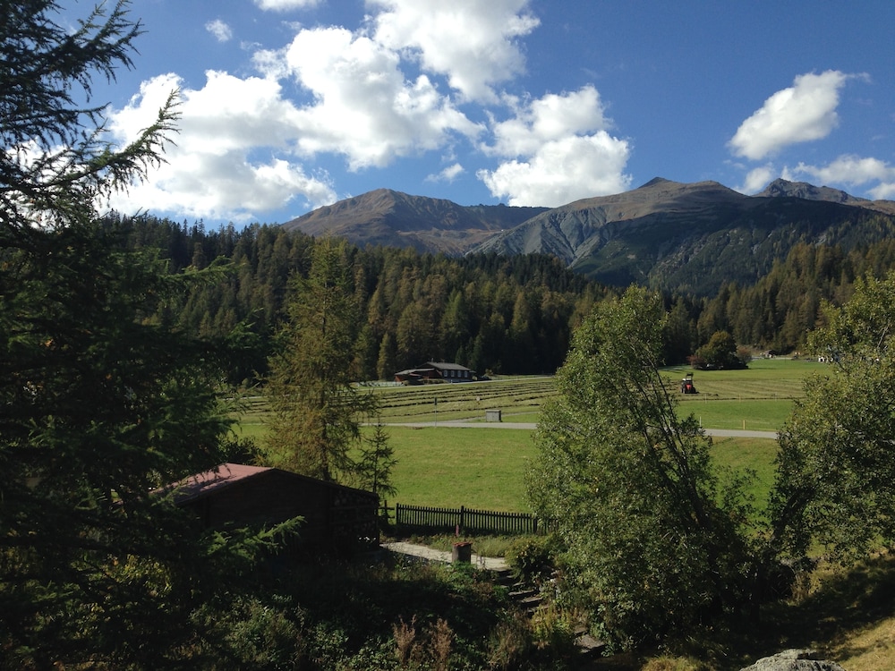Apartment 12 Ginseng Davos Laret