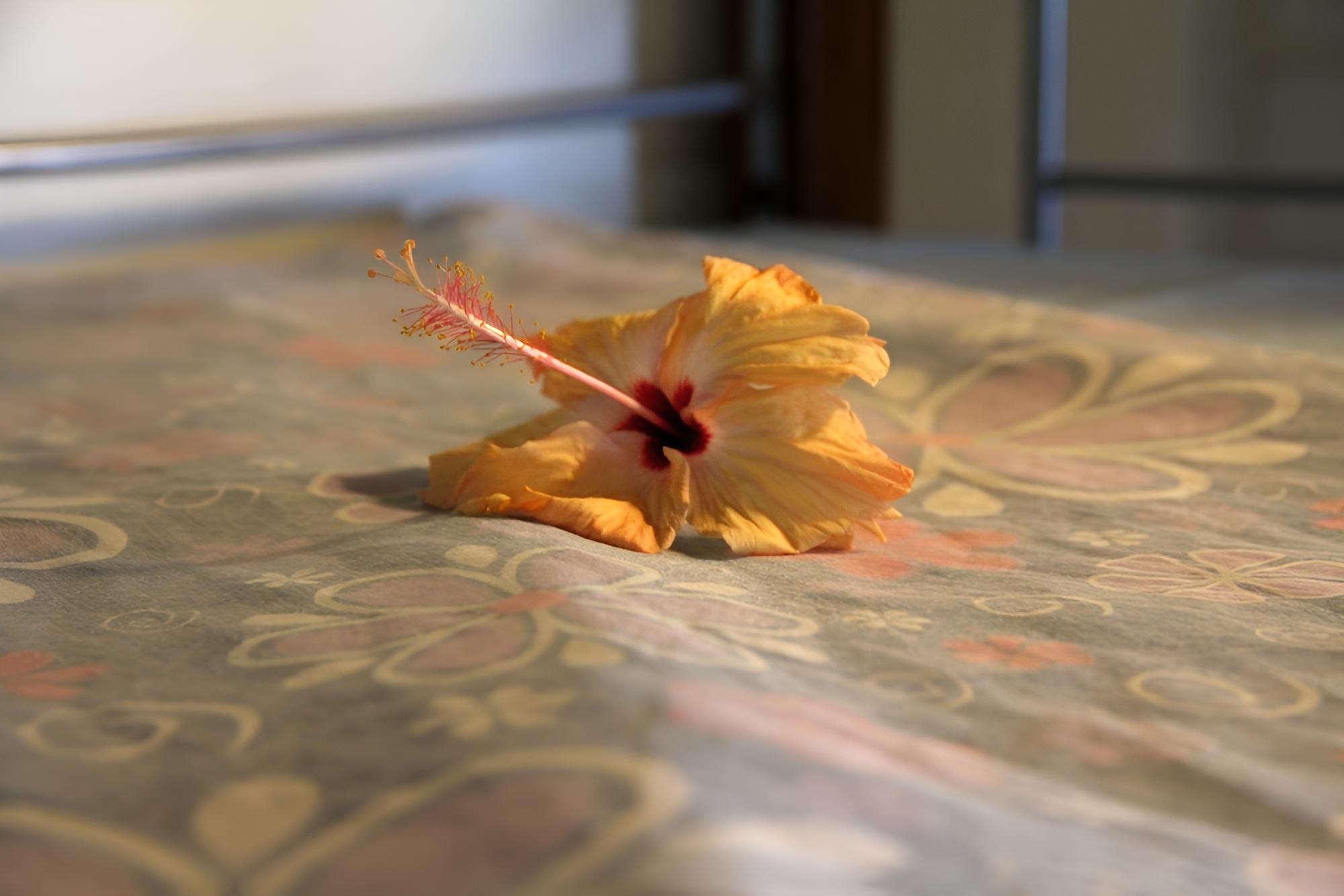Travellers Beach Resort - Hostel