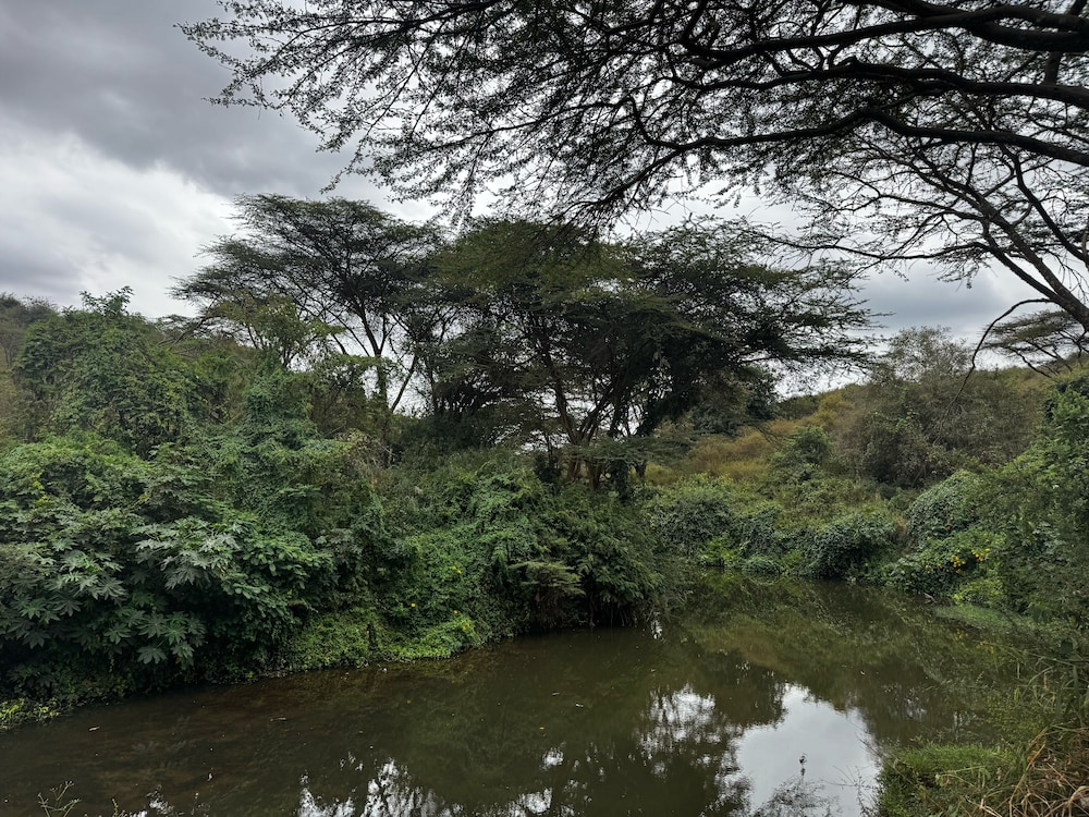 Koki Lodge