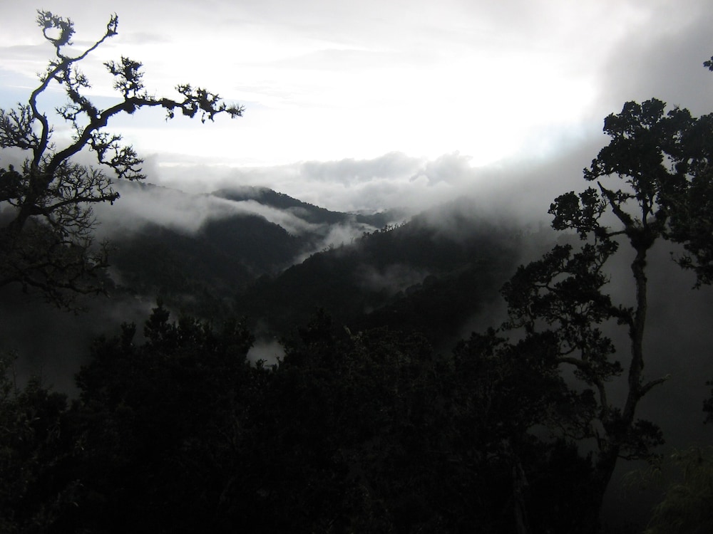 Dantica Cloud Forest Lodge