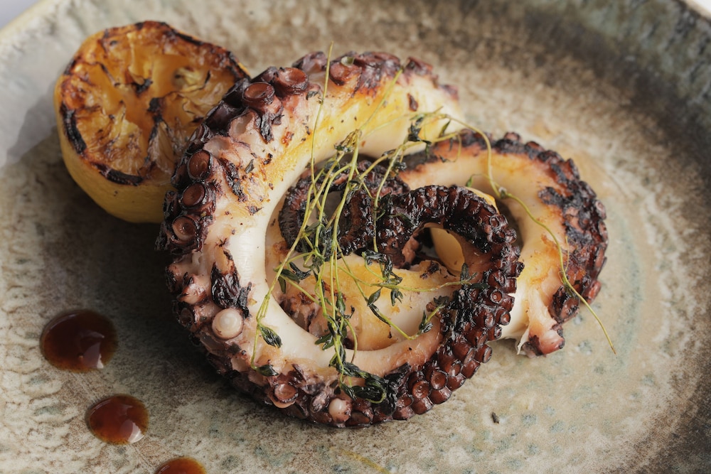 Tria Oteli - Özel Sınıf - Image 23