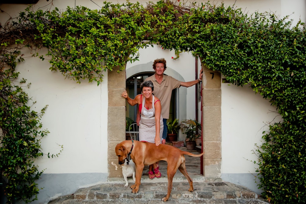 Chianti Yoga - The Tuscan Collection