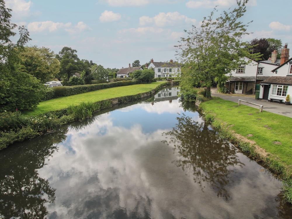 Daisy