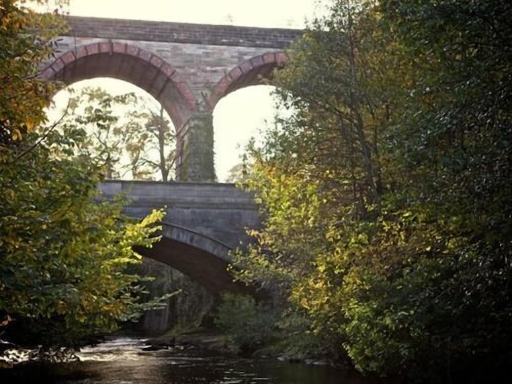 Photo 42