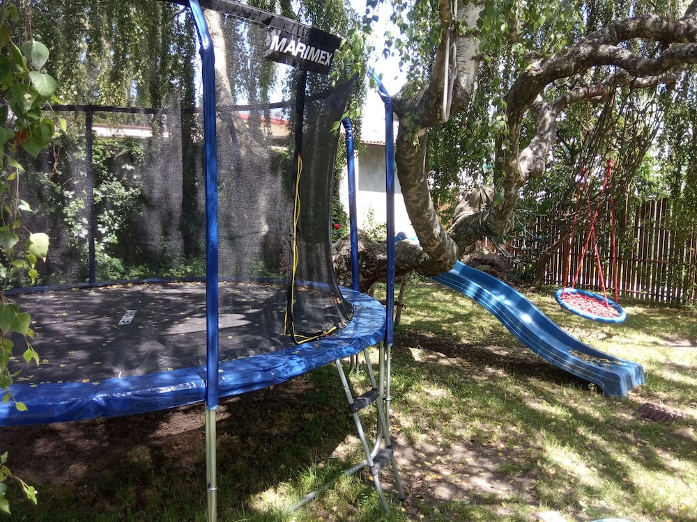 Photo 45