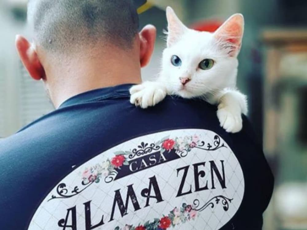 human